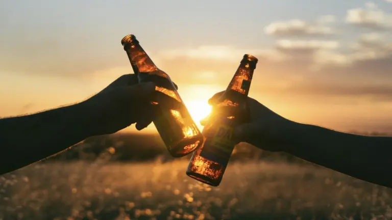 Symbolbild. Zwei Menschen stoßen mit braunen Bierflaschen an. Im Hintergrund ist der Sonnenuntergang zu sehen. Foto: Wil Stewart / Unsplash